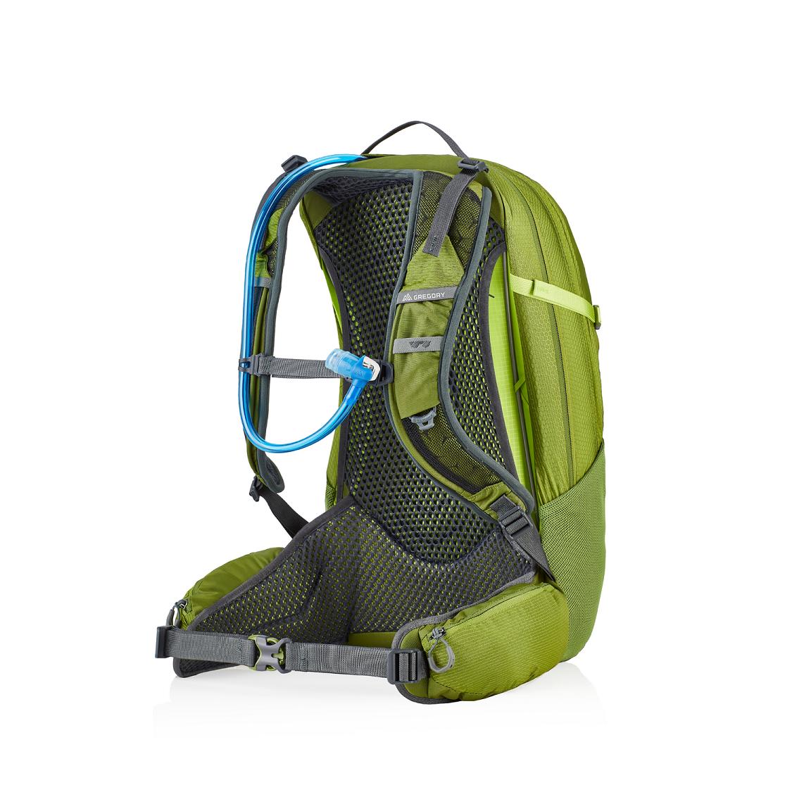 Gregory Citro 24 H2O Hiking Backpack Men Green Ireland 7532QSAEL